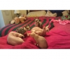 6-available-sphynxs-kittens-for-sale